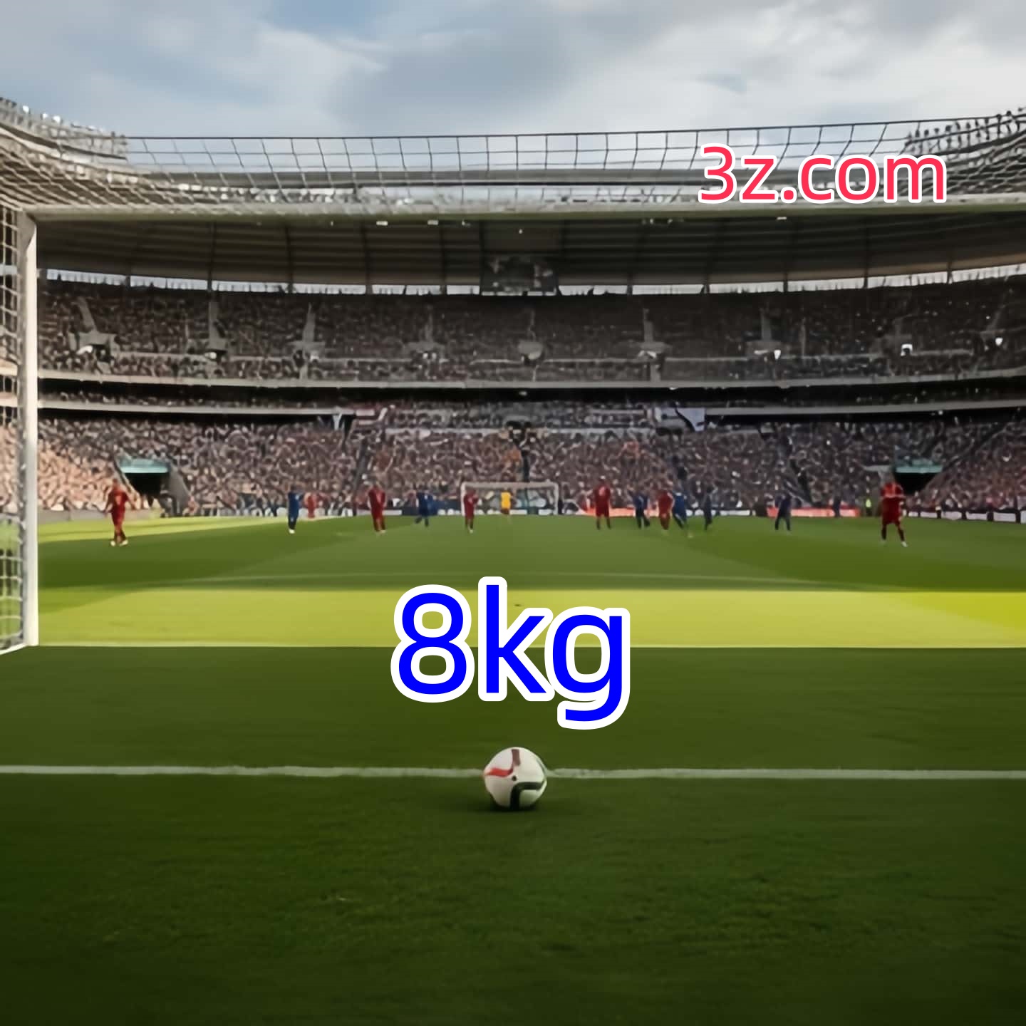 8kg